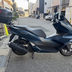ホンダ pcx125 jk-05 2023年式の画像