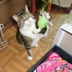 甘えん坊になりました。