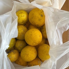 決まりました！　柚子40個ほどの画像