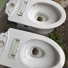 トイレ 便器の画像