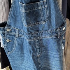 オ-バオ-ルの画像