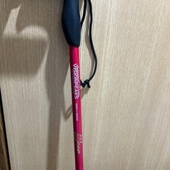 登山⛰️用スティック⛰️の画像