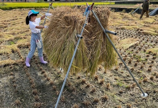 ③【新米】ひとめぼれ / 令和7年 山梨県産10kg③