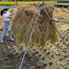 ③【新米】ひとめぼれ / 令和7年 山梨県産10kg③の画像