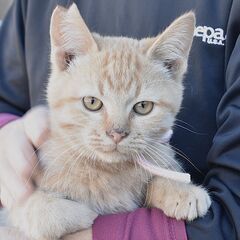 大山　くーちゃん