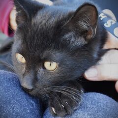 大山　えっちゃん