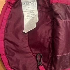 パタゴニア　ヒップバッグ　ボディバッグの画像