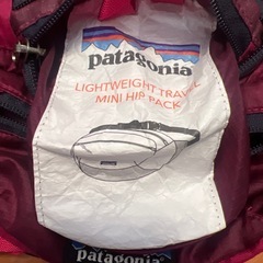 パタゴニア　ヒップバッグ　ボディバッグの画像