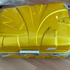 海外サイズ、キャリーケースの画像