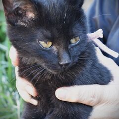 大山　きいちゃん