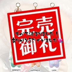 ラブブ　エナジー　マカロン　各種の画像