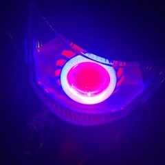 スズキアドレスV50   カスタム済の画像