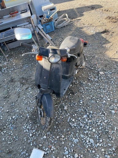 旧車！原付！HONDA タクティ☆希少☆