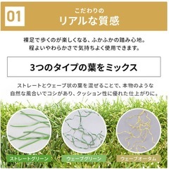 防草人工芝の画像