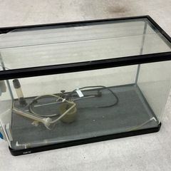 60㎝　水槽 その他いろいろ。の画像