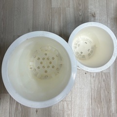 プラスチック製　鉢植えセット 受け皿付きの画像