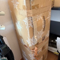 クリスマスツリー(決定)の画像