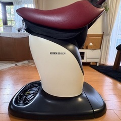 動作確認OK ロデオボーイ FD-017の画像