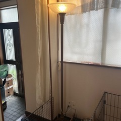 スタンドライトの画像