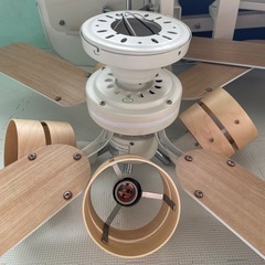 シーリングファンライト、２個SETの画像