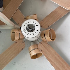 シーリングファンライト、２個SETの画像