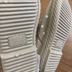 14センチの画像