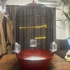 鳥かごの画像