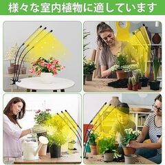 植物育成ライト 60W 植物ライト 126LED 室内栽培ランプ タイミング 定時機能（3H / 9H / 12H）3ヘッド付き 360°調節可能 多肉植物育成 家庭菜園 室内園芸 水草栽培　まとめ買い歓迎　卸ます　アマゾン引き上げ商品　倒産品　ネット商材　転売　卸し　問屋　転売OK　アマゾン　商品　景品　コンペの画像