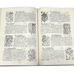 牧野 新日本植物図鑑 北隆館の画像
