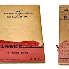 新日本動物図鑑(中巻) 軟体動物・節足動物 北隆館の画像