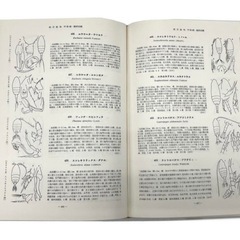 新日本動物図鑑(中巻) 軟体動物・節足動物 北隆館の画像