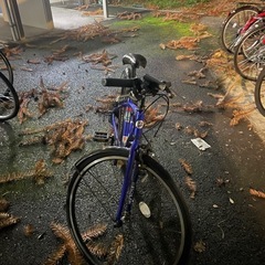 ブリヂストン自転車、7段変速、26インチの画像