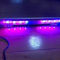 水槽用LEDライト