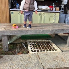 ベンチ、棚等つくりますの画像