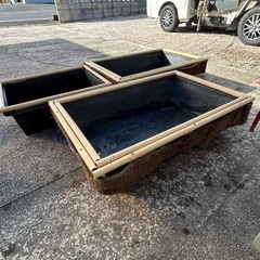 メダカの水槽の画像