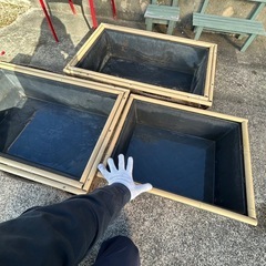 メダカの水槽の画像