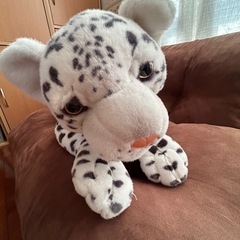 白ヒョウぬいぐるみの画像