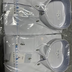 鳩サクラ HATOSAKURA ワイシャツ カッターシャツ ノンアイロン B体Lの画像