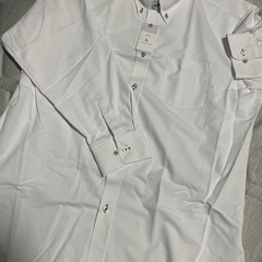 鳩サクラ HATOSAKURA ワイシャツ カッターシャツ ノンアイロン B体Lの画像