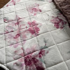 こたつ　Francfrancの画像