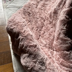 こたつ　Francfrancの画像