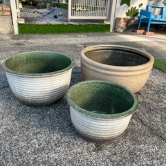 ビオトープの鉢の画像