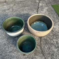 ビオトープの鉢の画像