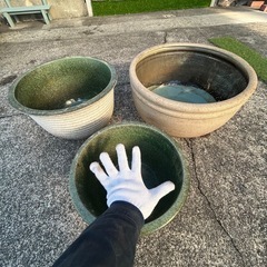 ビオトープの鉢の画像