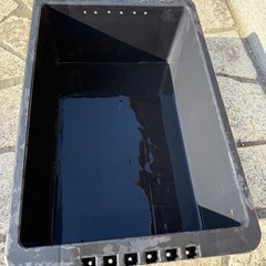 メダカ飼育ケース(nv13)
の画像