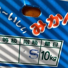 みかん1箱10キロの画像