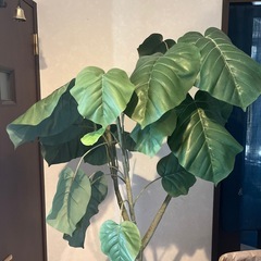 フェイクグリーン　ウンベラータ　高さ175cm　の画像