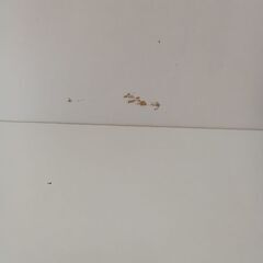 リユースのサカイ栃木店★ジモティ割あり★  飾り棚 ホワイト W83×D45×H98 クリーニング済み TC11748の画像