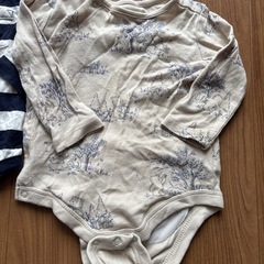 60サイズの画像