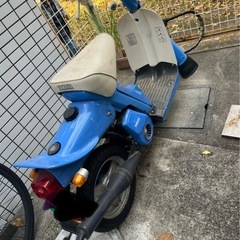 パッソル　の画像